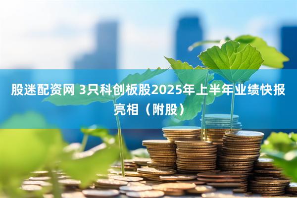 股迷配资网 3只科创板股2025年上半年业绩快报亮相（附股）